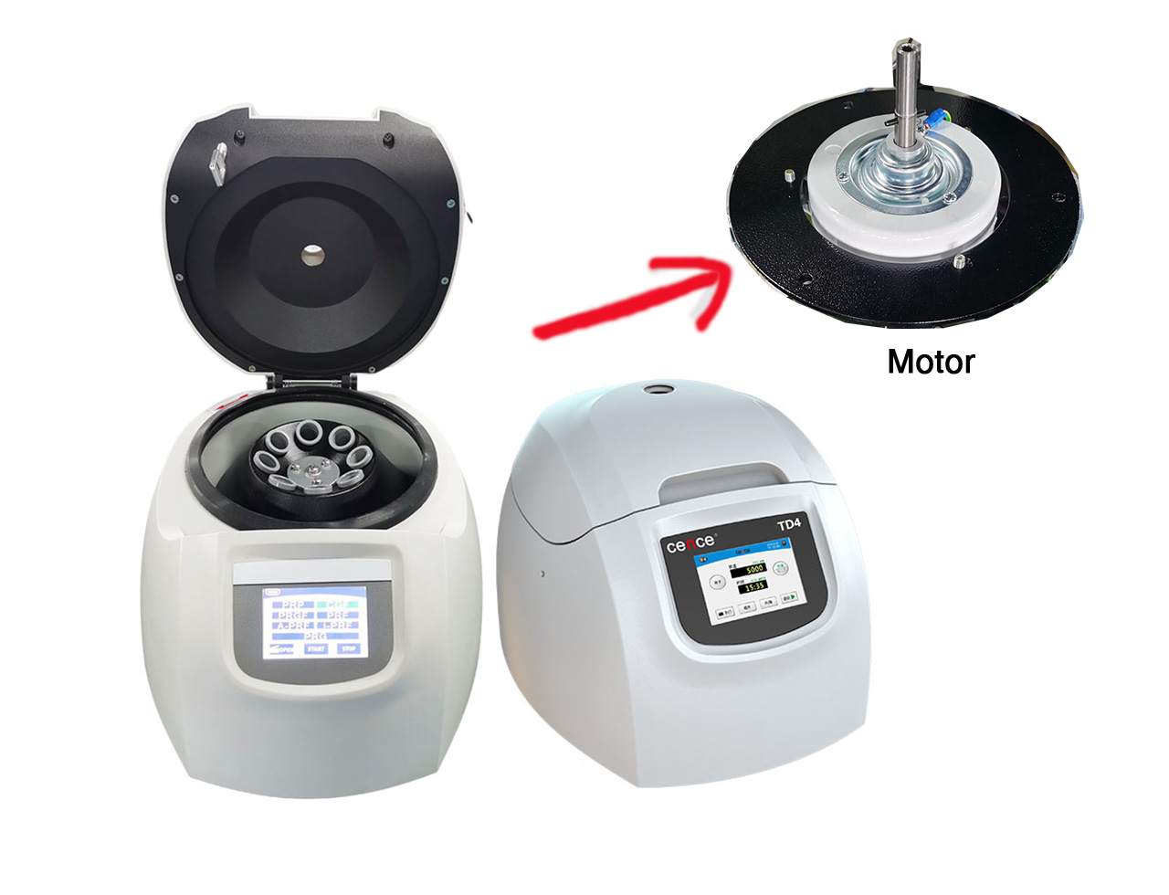 ag贵宾厅(中国游)官方网站