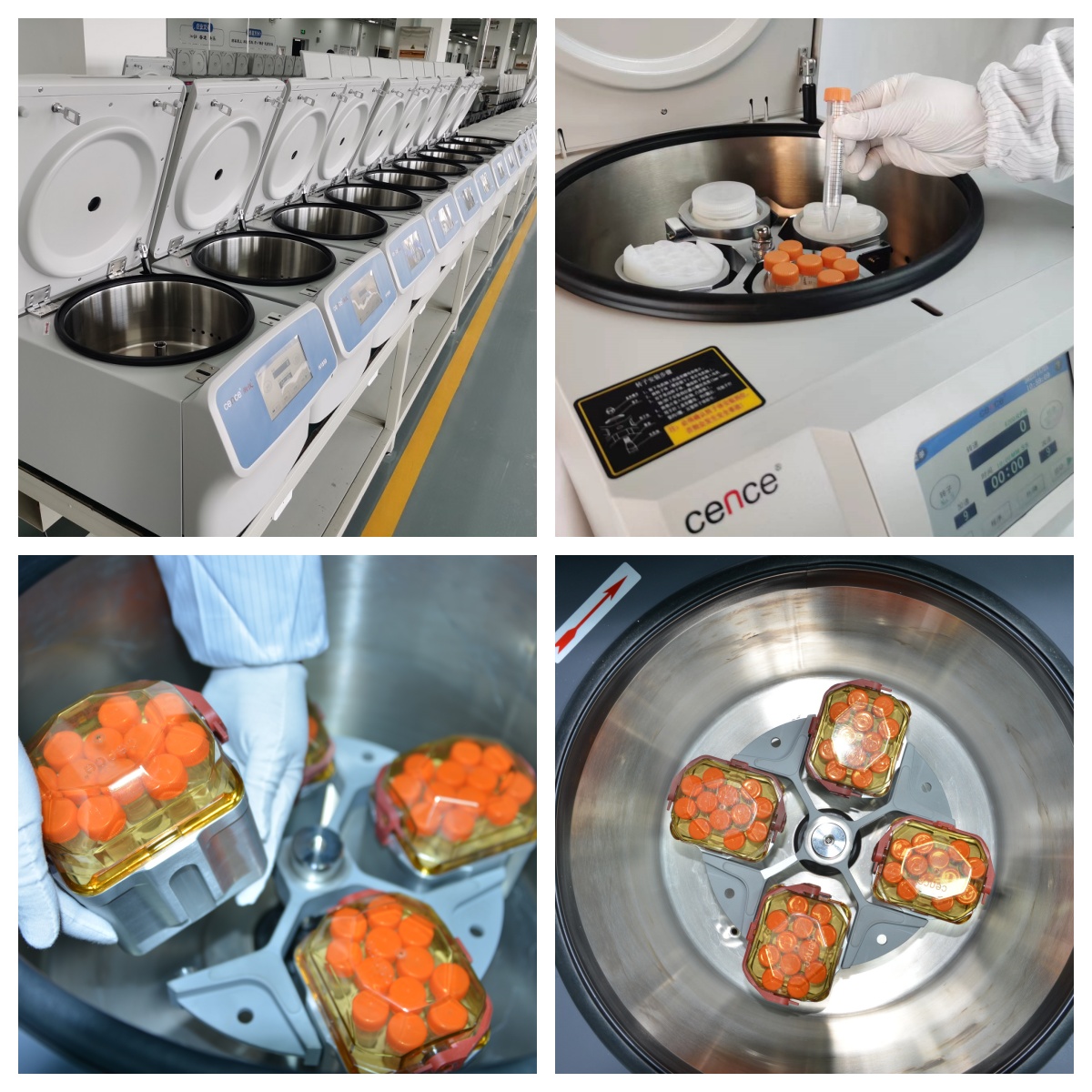 ag贵宾厅(中国游)官方网站